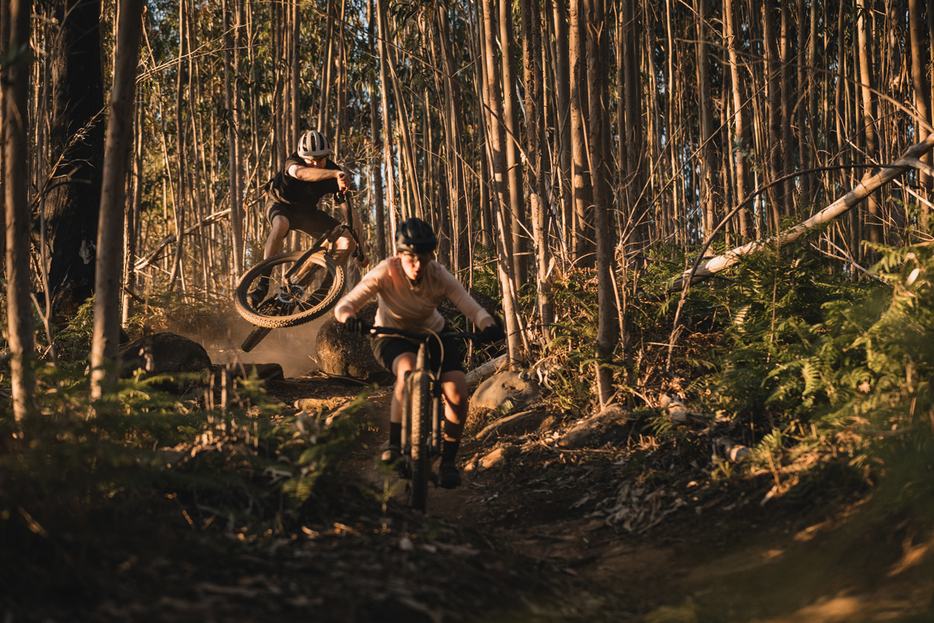 写真：Bicycle Club