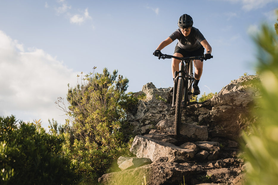 写真：Bicycle Club