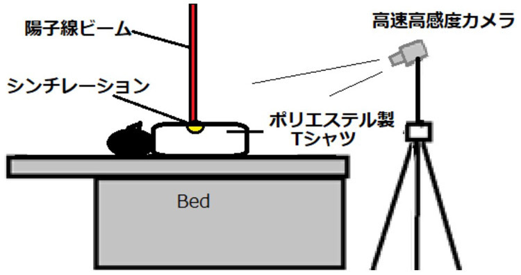 ポリエステル製の生地が放射線（実験ではアルファ線や陽子線）で発光することを発見した。がん治療などへの応用に期待がある（早稲田大学提供）