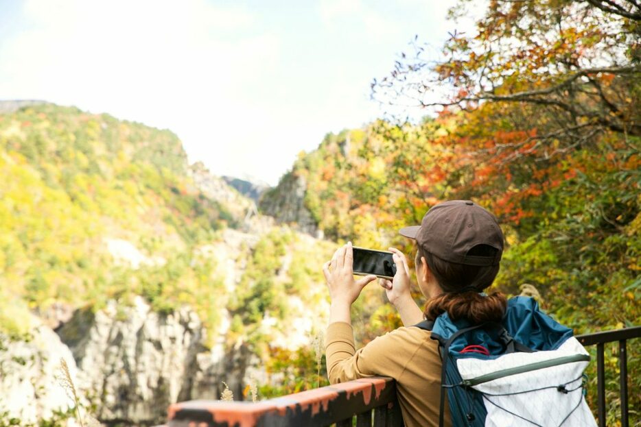 写真：ランドネ