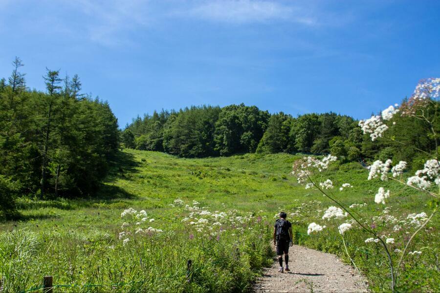 新緑が美しい入笠湿原を歩いて山頂へ（撮影：伏見みう）