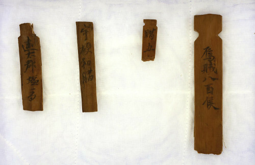 平城京跡から出土した「烏賊」の文字が記された木簡（右端）（２日午前、奈良市で）＝大塚直樹撮影