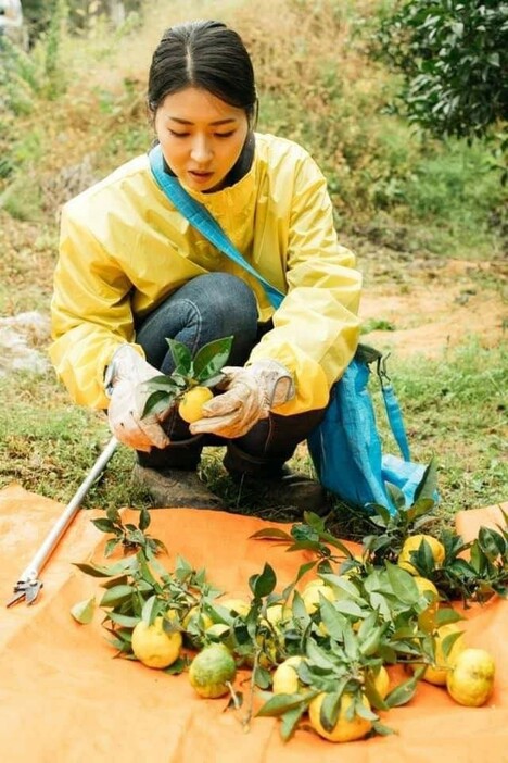 被災地能登のブルーベリーを中心に、石川県の豊かな食材がバウムクーヘンに