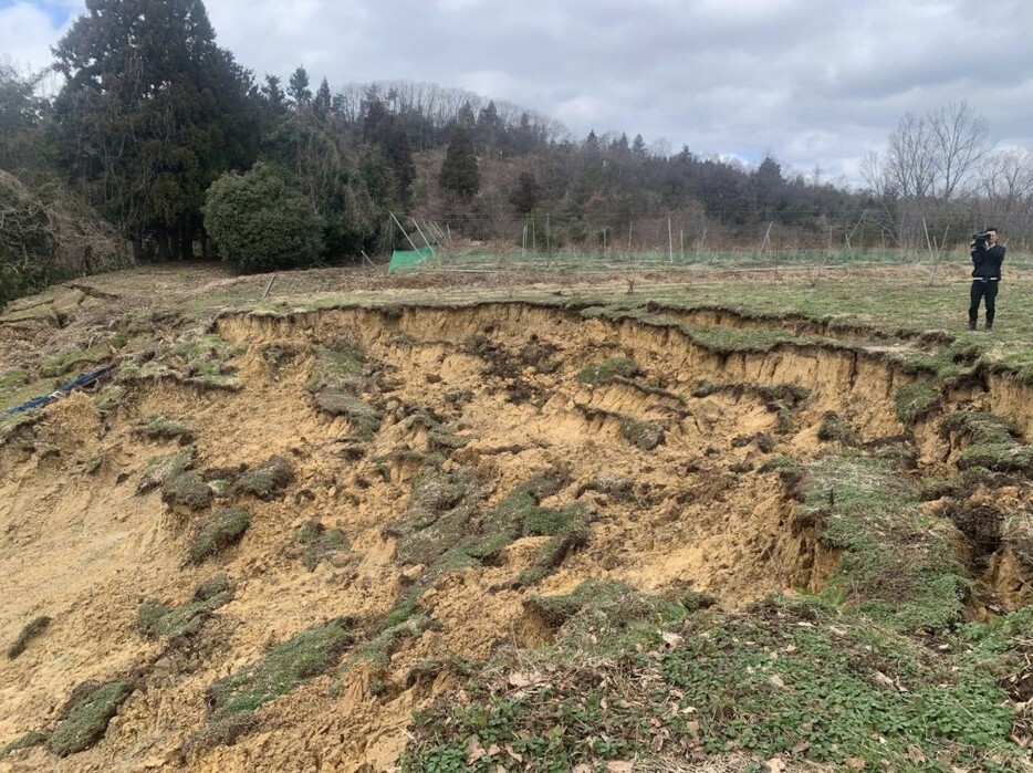 被災地能登のブルーベリーを中心に、石川県の豊かな食材がバウムクーヘンに