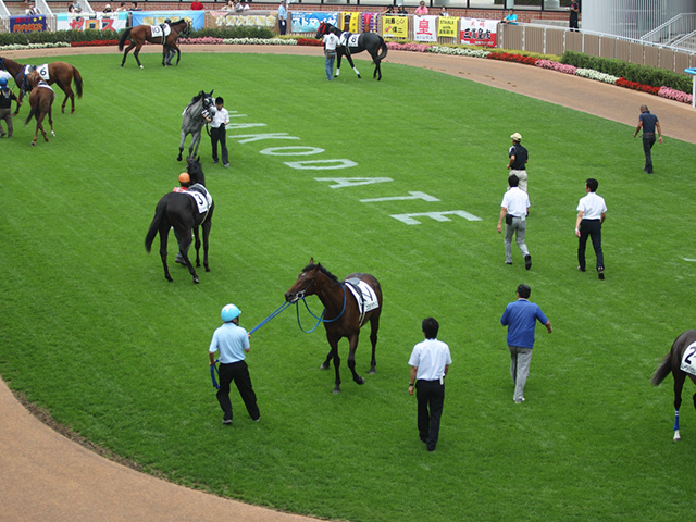 函館2歳Sが行われた函館競馬場(c)netkeiba