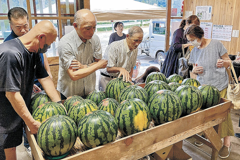 スイカを品定めする来店客＝砺波市東別所