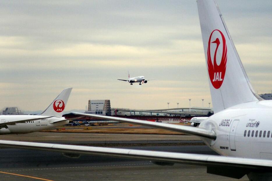 JAL（日本航空）