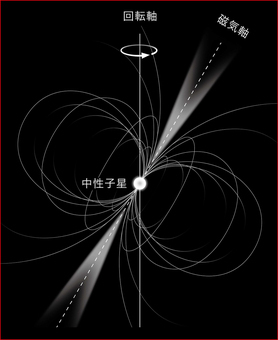 中性子星と磁場の概念図