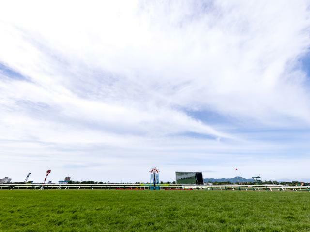 レースが行われる函館競馬場(c)netkeiba