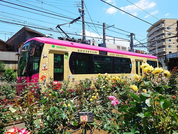 町屋駅周辺。沿線数ヶ所にバラが植えられている ※取材時