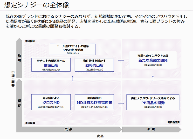 モール型ECサイトの構築も視野（画像はアインHDのIR資料からキャプチャ）