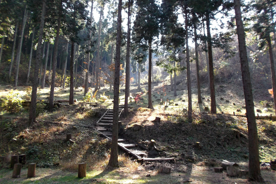 熊本県産山村の正信教会の樹木葬墓地。墓標を石ではなく樹木にした墓地が増えている（筆者撮影、以下同）