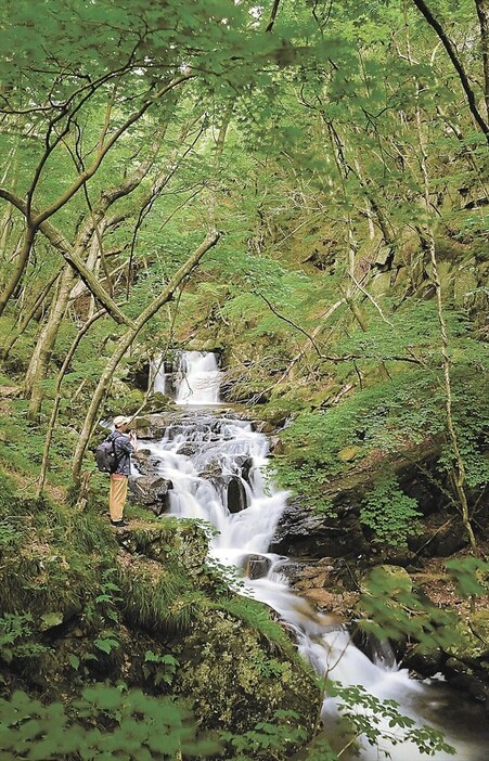 深い緑に包まれ、涼しげな水音が響く滝川渓谷