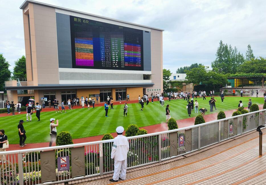 レース中断中、パドックに入り楽しむ競馬ファン＝27日、新潟競馬場