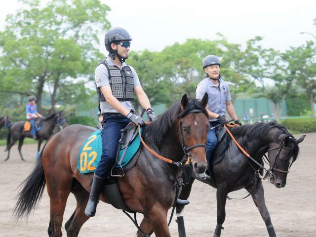 今週デビュー予定のジャナドリア(写真手前、撮影：竹之内元)