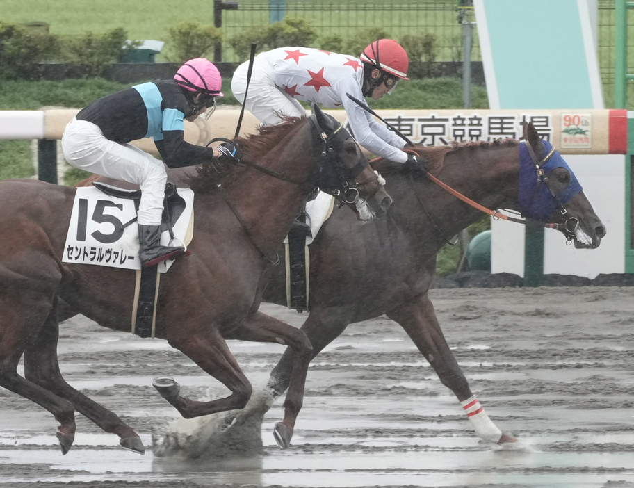 東京4R・ミッキーファイトと津村明秀騎手 (C)スポニチ