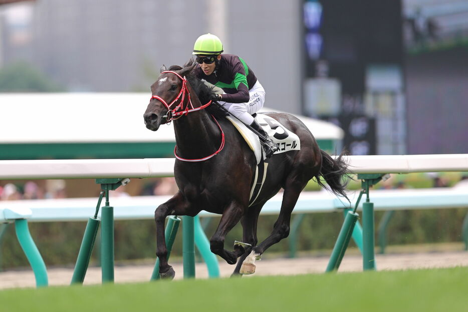 札幌5R・キングスコールと藤岡佑介騎手