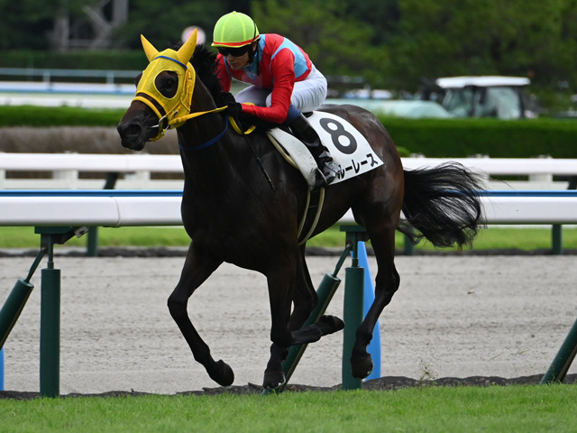 小倉5Rの新馬戦を制したブルーレース(c)netkeiba