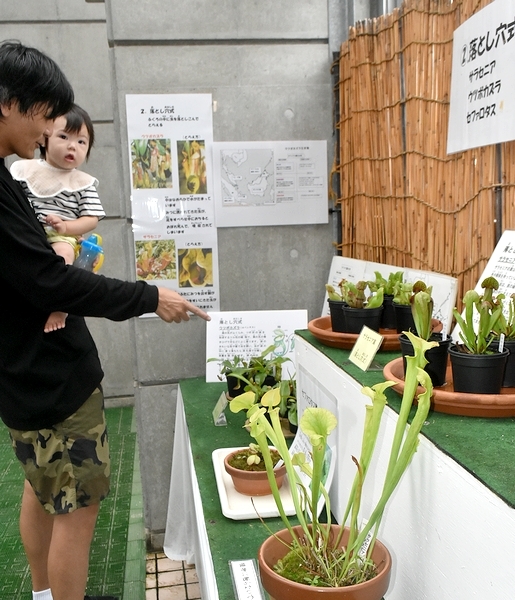 興味深そうに観察する来館者