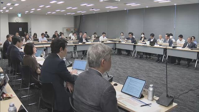 美容医療の適切な実施に関する検討会（6月27日）