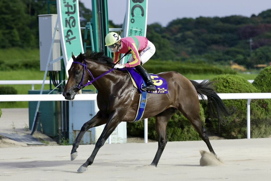 吉野ヶ里記念・テイエムフェローと飛田愛斗騎手 (C)佐賀県競馬組合