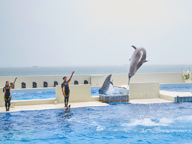 プールの向こうには穏やかな海が広がる