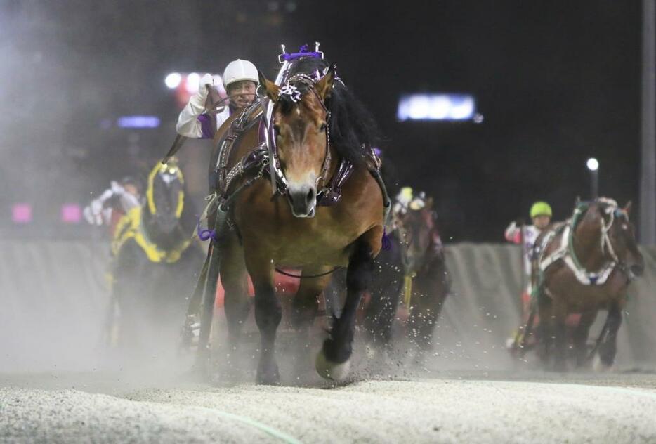 ベストホースに選出されたメムロボブサップ (C)ばんえい十勝