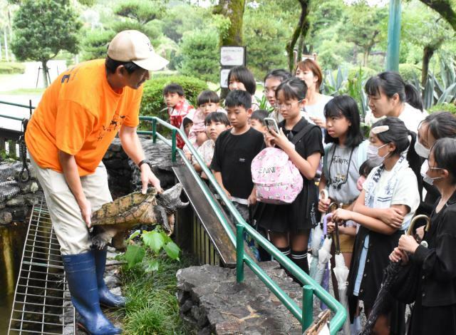 飼育員が持ち上げたワニガメの口の中を観察する参加者