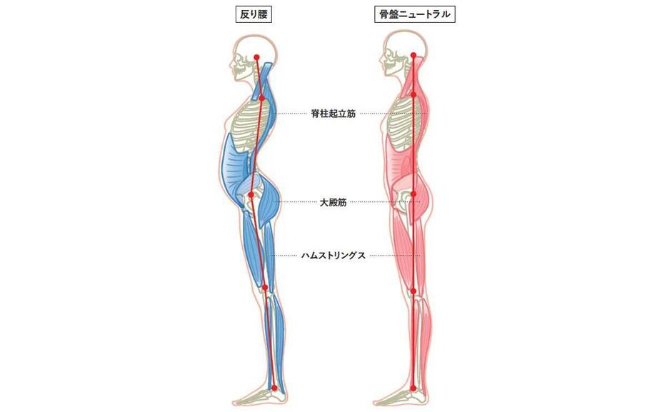 反り腰だと、横から見たとき頭、肩、腰、ひざ、足首をつなぐラインがガタガタにズレている（イラスト左）。膣筋が締まって反り腰が直ると、この5点が真っすぐそろった美姿勢に（イラスト右）。すると抗重力筋が働きやすくなり、ボディラインが締まっていく。