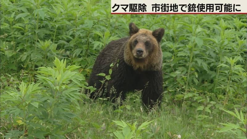 （写真：テレビ北海道）