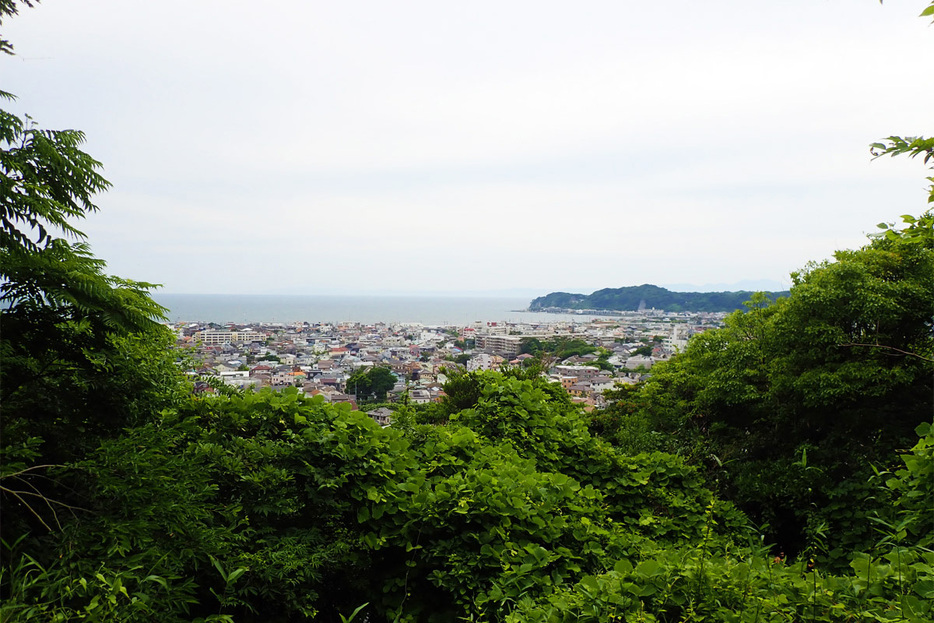 祇園山の山頂から望む相模湾