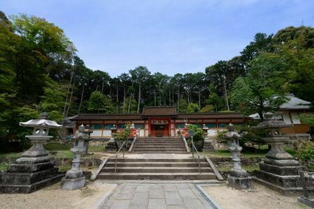 「藤原氏の氏神三社」のひとつに数えられる大原野神社（京都市西京区）。一族に女子が産まれると、中宮や皇后になれるようにお詣りしたという