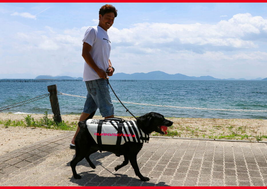 今年の夏は、愛犬とマリン体験を。