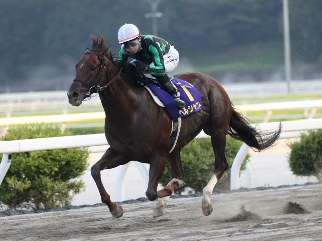 1番人気ヘルシャフトが勝利(提供：高知県競馬組合)