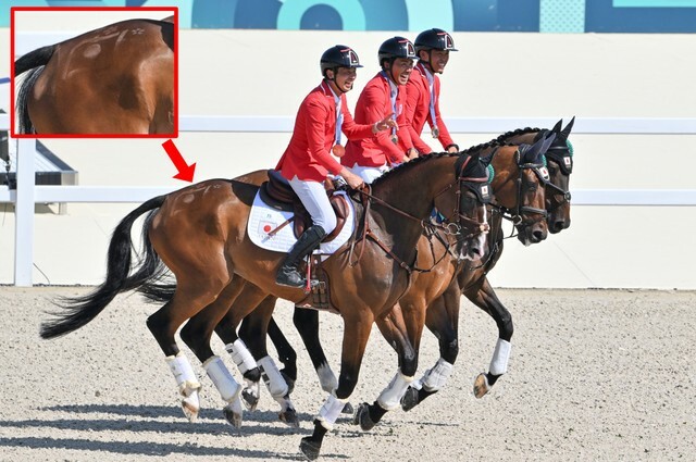 馬術団体の馬のお尻に日の丸（写真:エンリコ/アフロスポーツ）