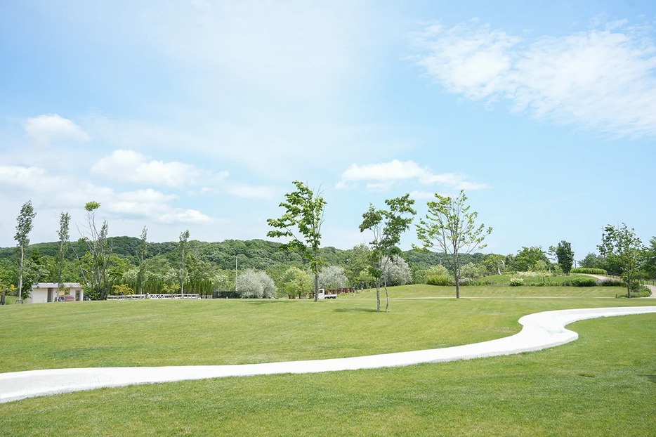 無料エリアも充実の北海道「ナチュの森」