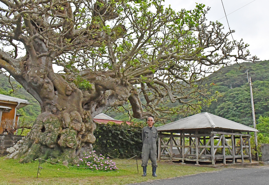 村田満弘さんと集落シンボルのデイゴとアシャゲ＝4月18日、鹿児島県加計呂麻島の阿多地