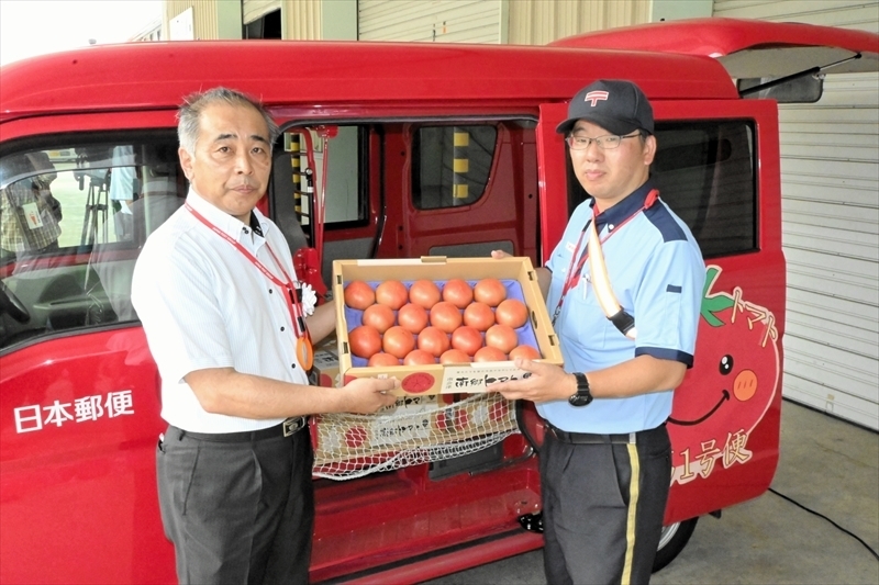 第１便に積み込まれる南郷トマト