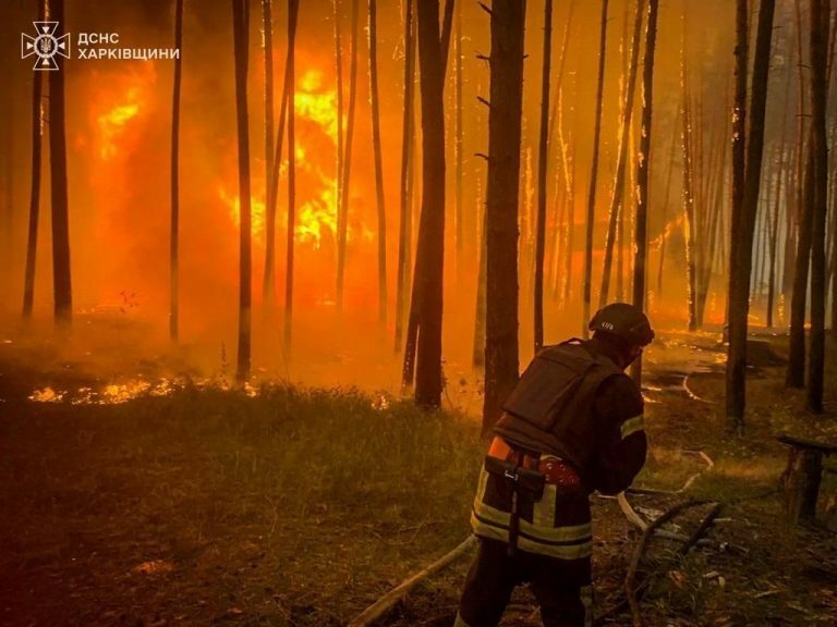 ロシアの砲撃後、ウクライナのハリコフ地方で発生した森林火災。火災面積は15haを超えた© State Emergency Service of Ukraine (CC BY 4.0)