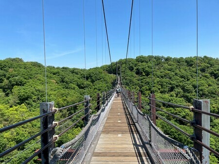 全長280メートル、最大地上高50メートル。人道吊り橋としては、国内最大級の規模を誇る木床版吊り橋「星のブランコ」