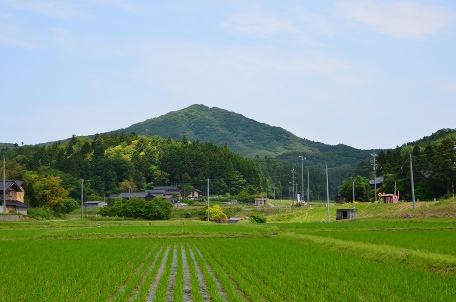 写真：ランドネ