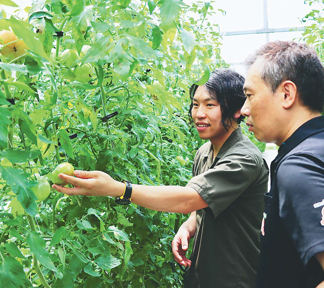 東野さん（左）のハウスで生育状況を確認する牧野センター長（岐阜県海津市で）