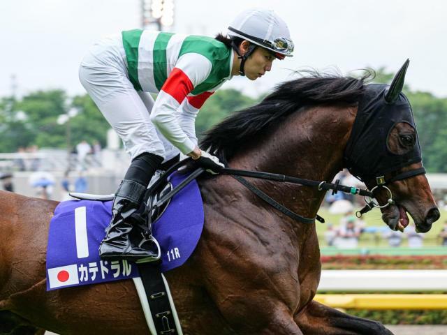 復活の重賞2勝目を目指すカテドラル(今年6月撮影、ユーザー提供：藤田ことねさん)