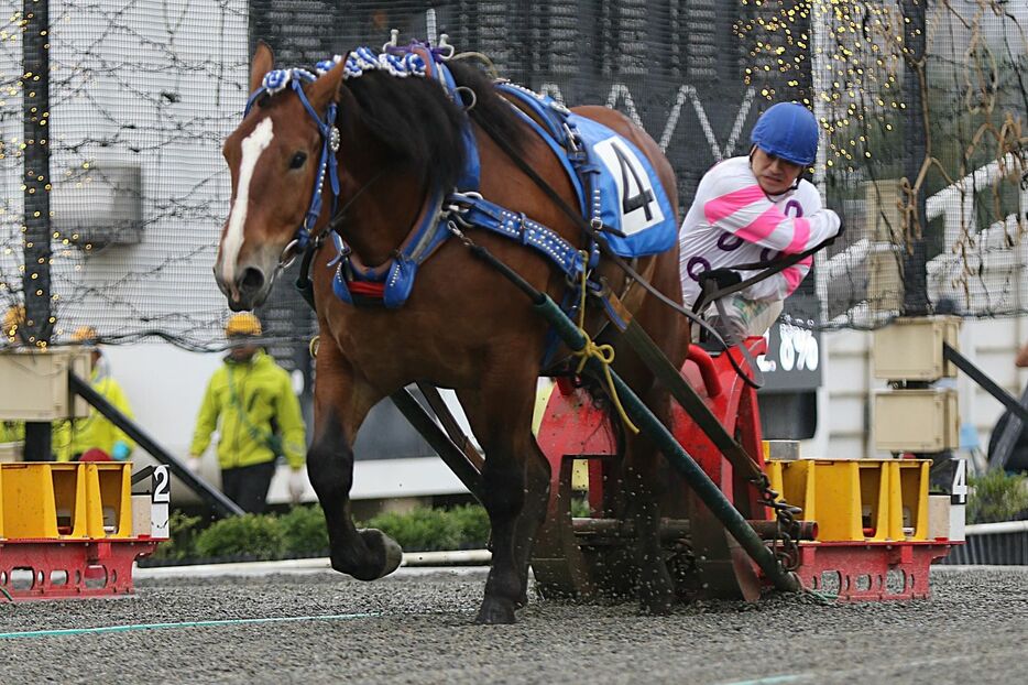 レイリーキングで勝利し、通算3500勝をあげた鈴木恵介騎手 (C)ばんえい十勝