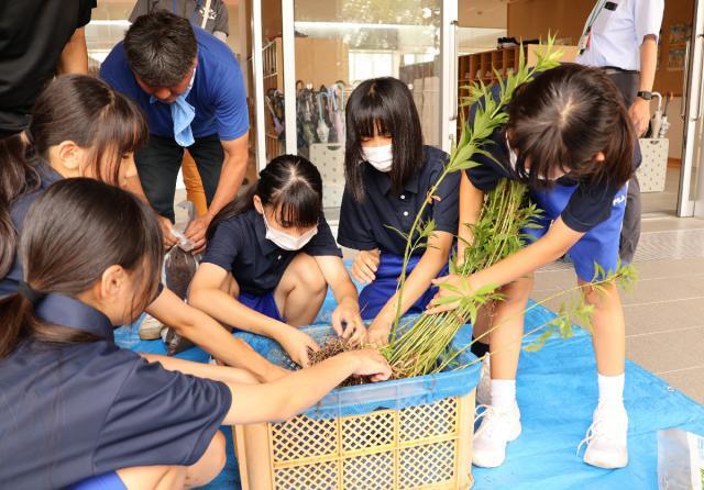 フジバカマの苗を植える木城学園の生徒たち