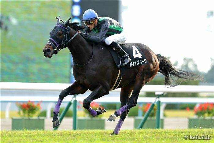 2年連続函館記念で好走したバイオスパーク