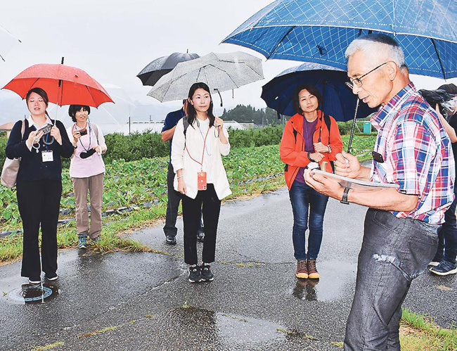 給食の食材として育てるサトイモの畑で説明する牛久保さん（右）（12日、長野県松川町で）