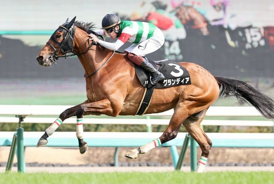 真剣に走りさえすればココでも勝負になるグランディア