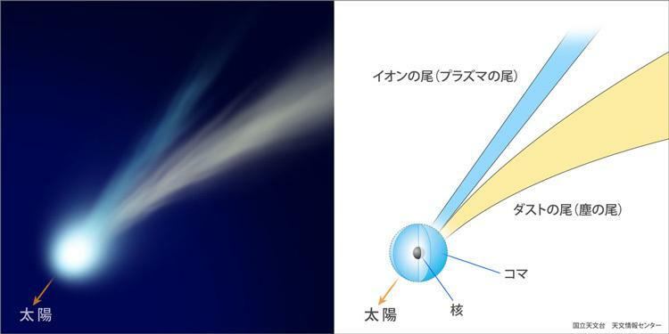 彗星の構造の模式図（国立天文台提供）