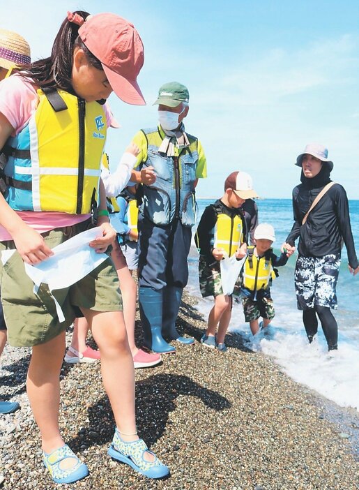 海岸の波打ち際でヒスイなどを探す参加者